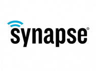 synapse